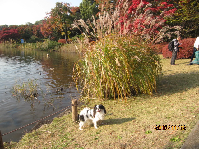 c0200916_2244767.jpg