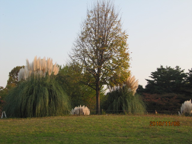 c0200916_22452753.jpg