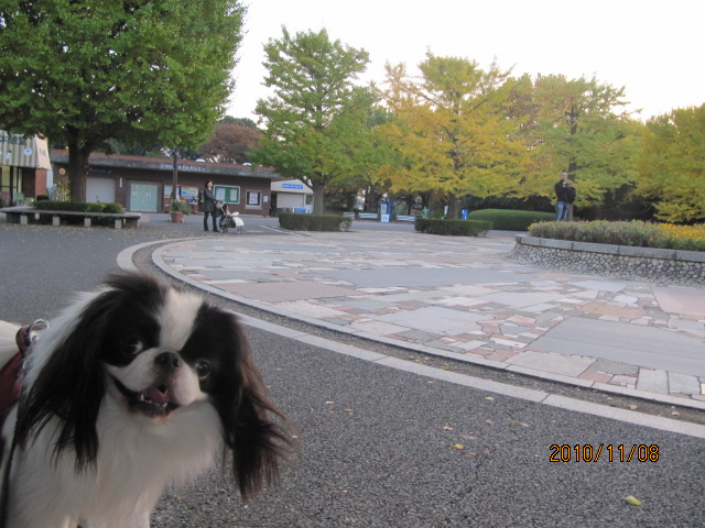 c0200916_22525428.jpg