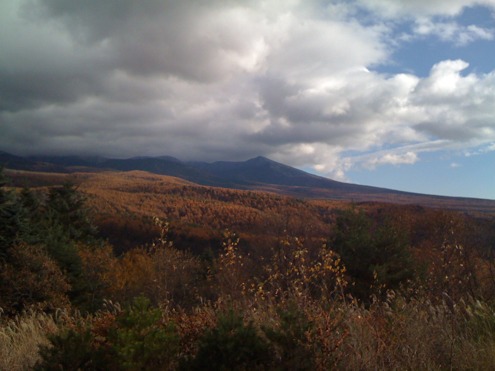 f0162720_17294437.jpg