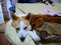f0200221_21134584.jpg