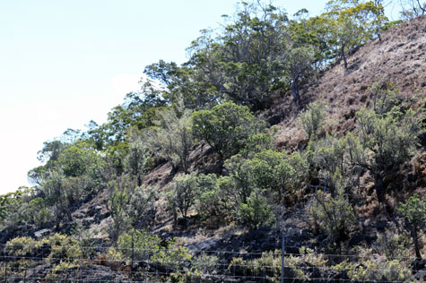 f0137324_19483668.jpg