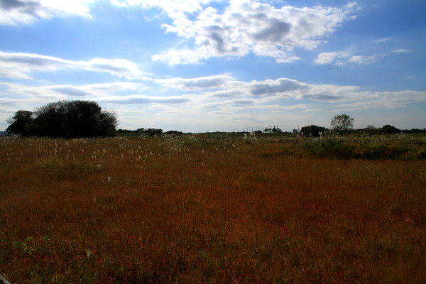 c0104227_043918.jpg