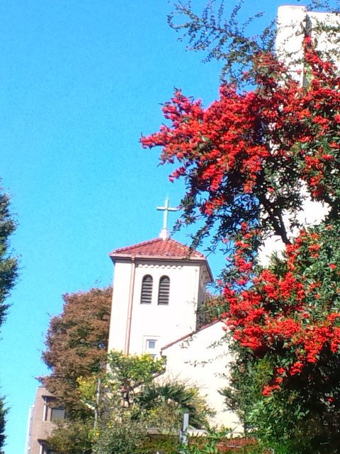 e0016828_11495983.jpg