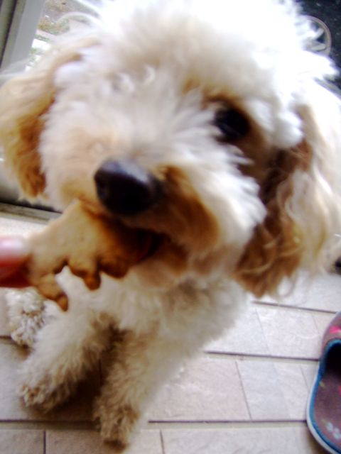 d0106536_15333172.jpg