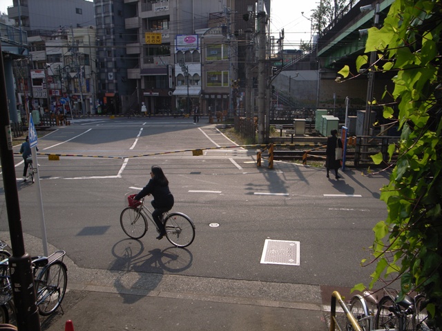 a0087341_21323439.jpg