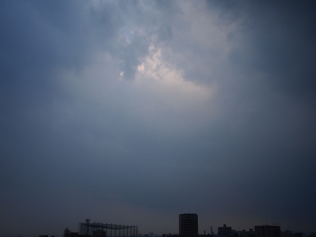 a0146442_835186.jpg