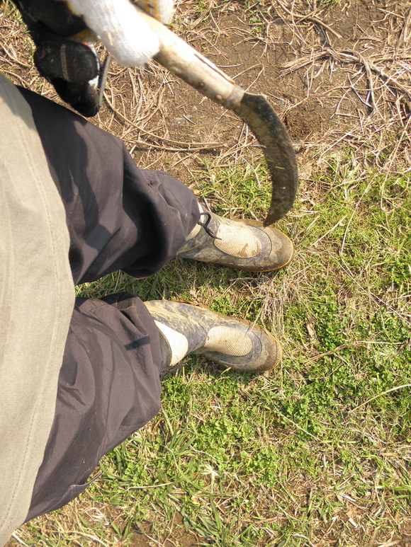 f0201157_20294472.jpg