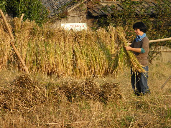 f0201157_20343738.jpg
