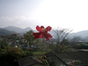 c0186463_16581820.jpg