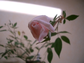 c0186463_17203444.jpg