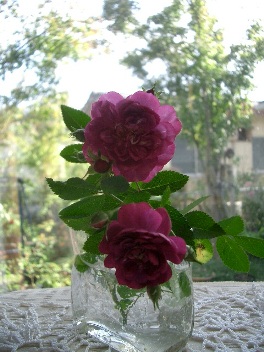 c0186463_17543694.jpg