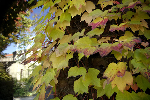 b0075364_0282399.jpg