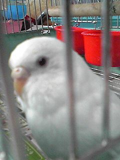 f0196665_0222672.jpg