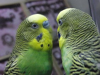 f0196665_05575.jpg