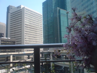 f0207969_1713165.jpg