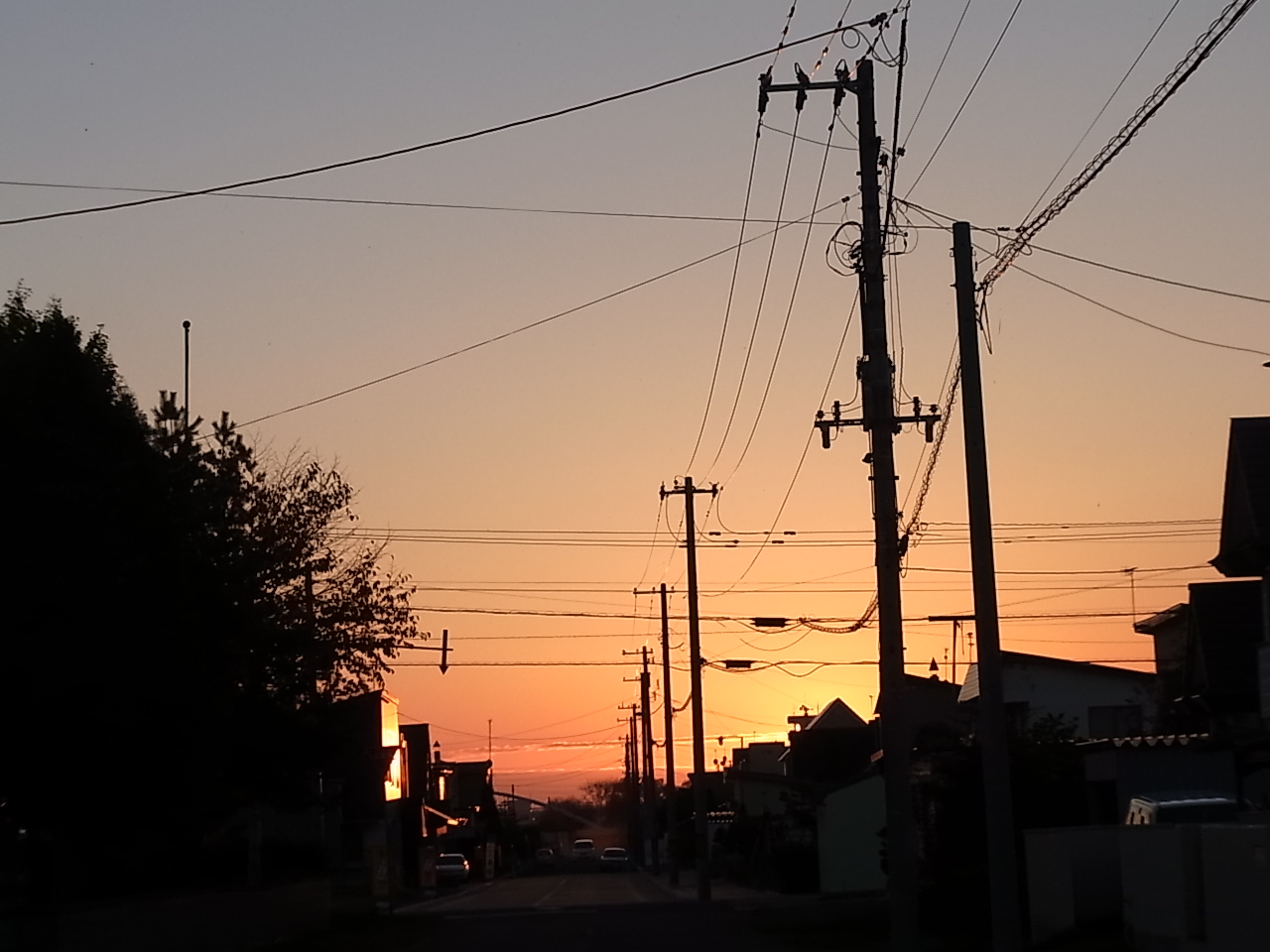 f0203580_1253736.jpg