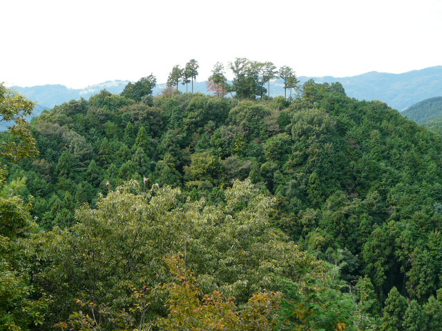 e0145782_1814541.jpg