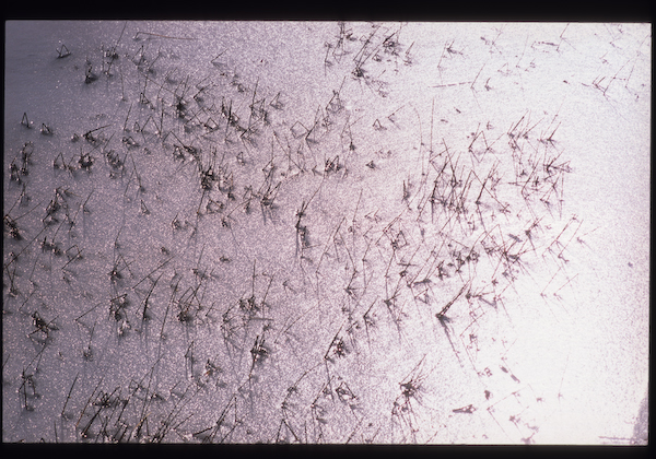 a0053783_0365122.jpg