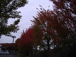 a0142083_12173811.jpg