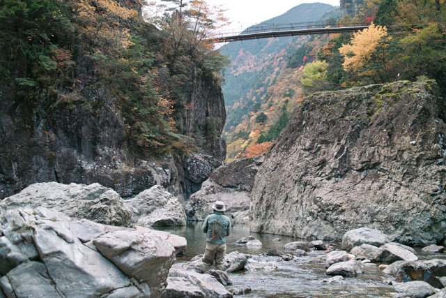 e0129083_208117.jpg