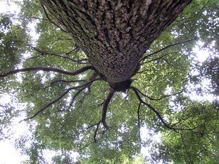c0002089_22434472.jpg