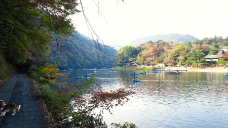 a0079292_192111100.jpg
