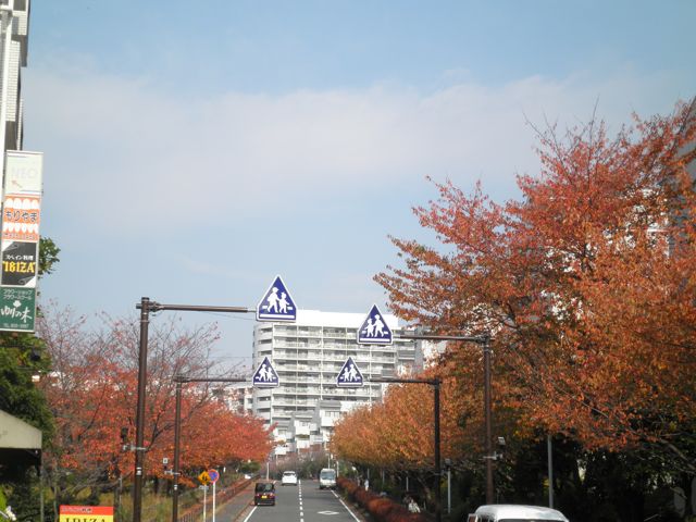 f0130894_21204578.jpg