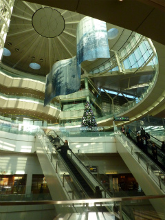 c0077697_1614324.jpg