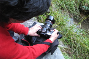f0103797_1352512.jpg