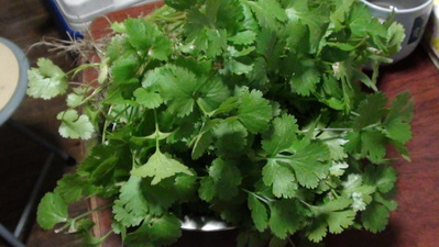 a0122198_21079.jpg