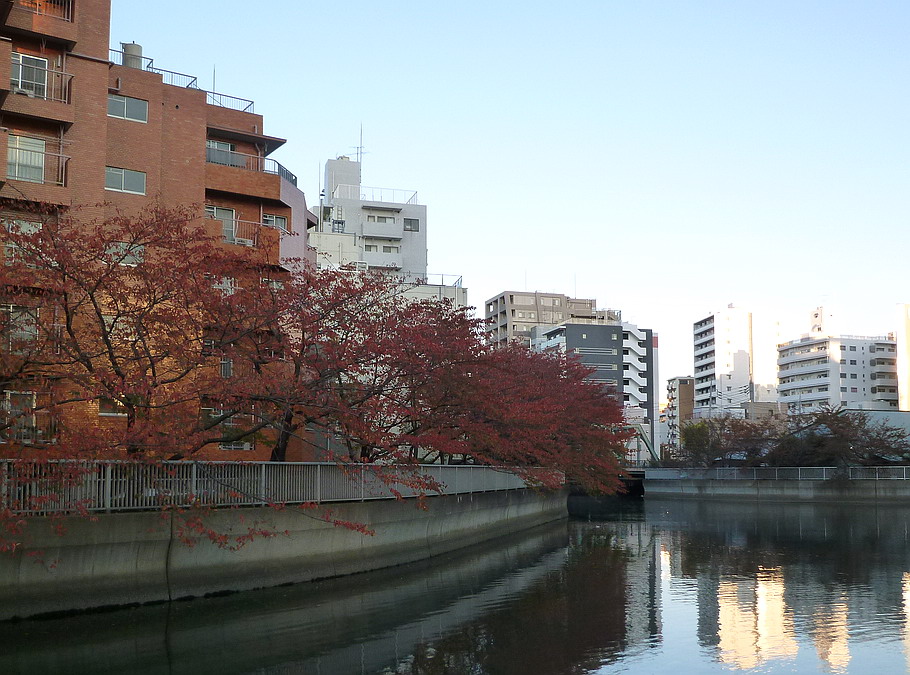 c0138198_23334955.jpg