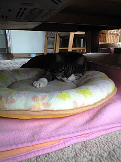 c0035001_1774942.jpg