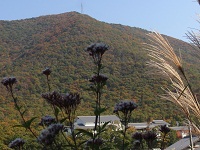 e0207503_20431090.jpg