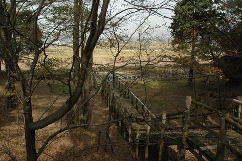 e0018604_16593598.jpg