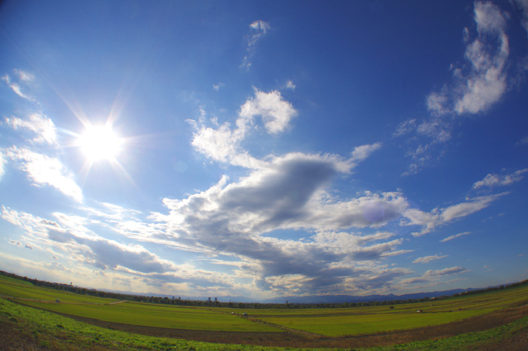e0125305_2012077.jpg