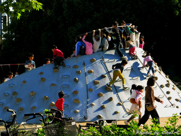 a0154706_173886.jpg