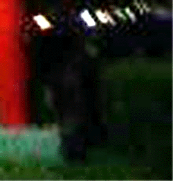 e0103408_142239.gif