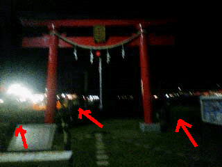 e0103408_14223951.gif