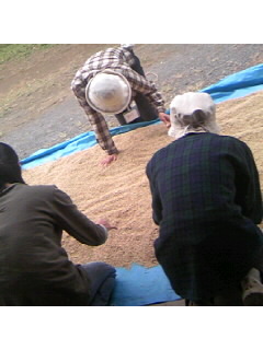 f0009509_20351379.jpg