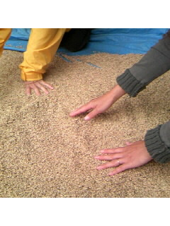 f0009509_20351414.jpg