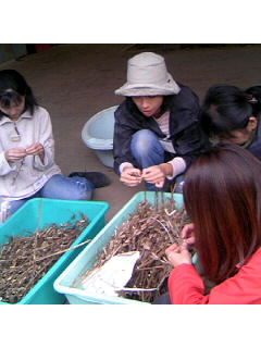 f0009509_20351441.jpg