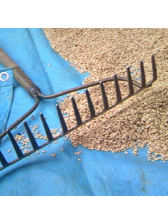 f0009509_2035147.jpg