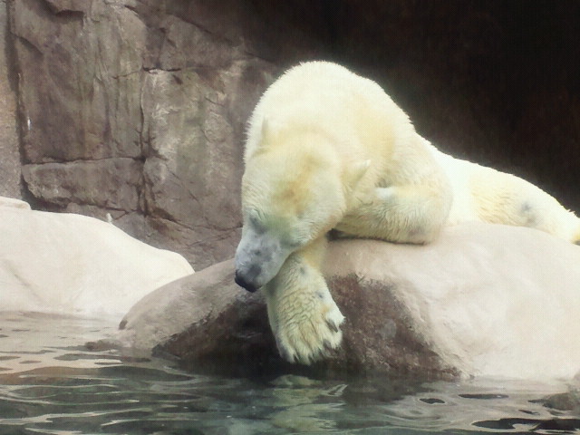 a0151913_1157080.jpg