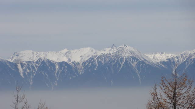 f0233414_2365162.jpg