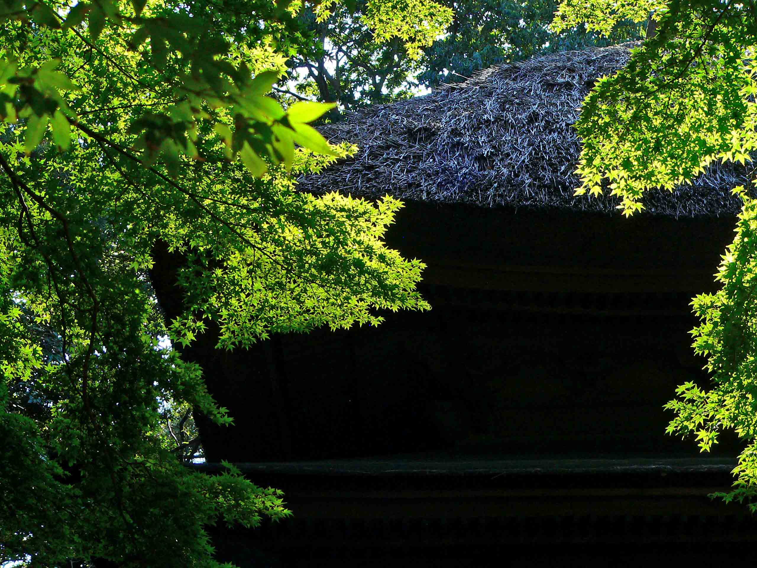 f0107517_1551531.jpg