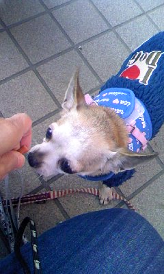 c0150520_21432393.jpg