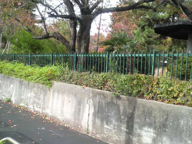 c0225420_18203928.jpg