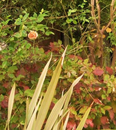 c0204121_8344616.jpg