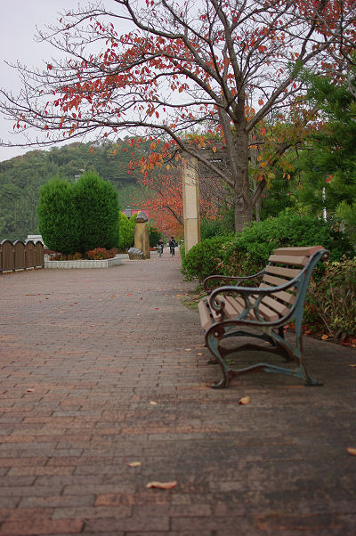 f0007926_100751.jpg